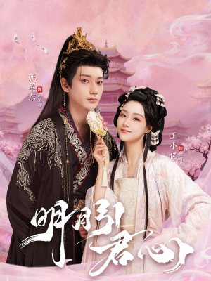 明月引君心(74集) 明月引君心(74集)短剧在线看