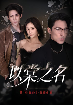 以棠之名（66集）热门短剧追到爽