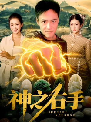 神之右手(100集) 神之右手(100集)全部免费看全集