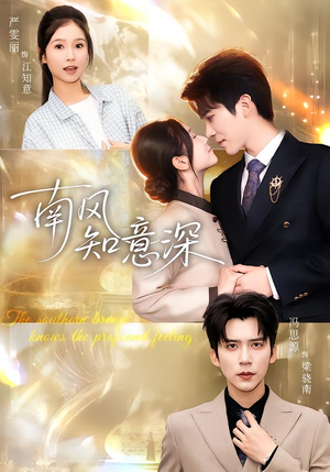 南风知意深（40集）好看上头的短剧