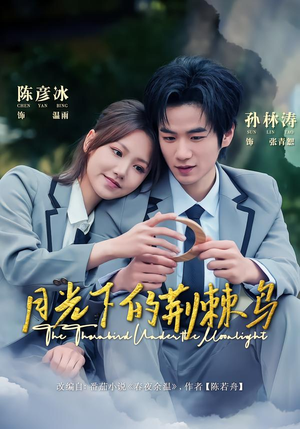 月光下的荆棘鸟(80集) 月光下的荆棘鸟(80集)第三季