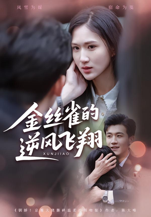 金丝雀的逆风飞翔（80集）海量短剧免费看