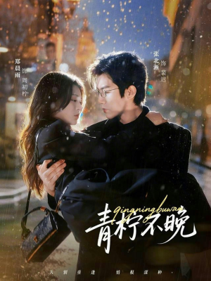 青柠不晚（78集）观看软件