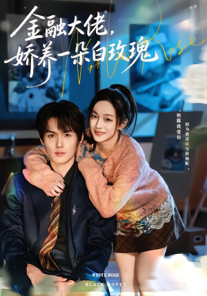 金融大佬，娇养一朵白玫瑰（70集）超级好看的短剧