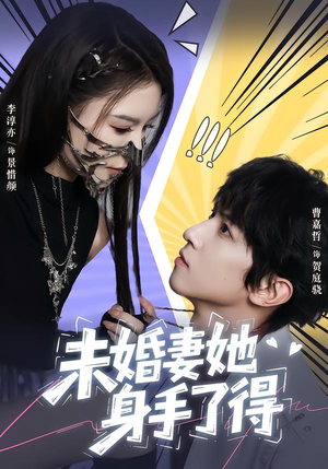 未婚妻她身手了得（50集）大结局一气呵成