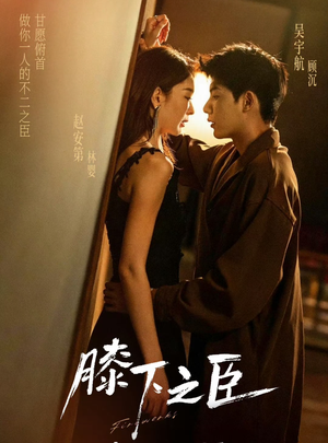 膝下之臣（56集）男主角是谁