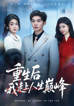 重生后我走上人生巅峰(80集) 重生后我走上人生巅峰(80集)热播短剧排行榜