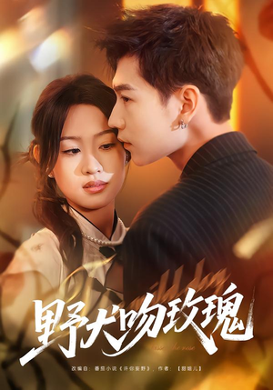 野犬吻玫瑰（70集）夸克网盘观看