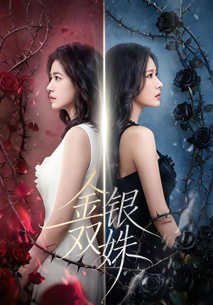 金银双姝(80集) 金银双姝(80集)全部免费看全集