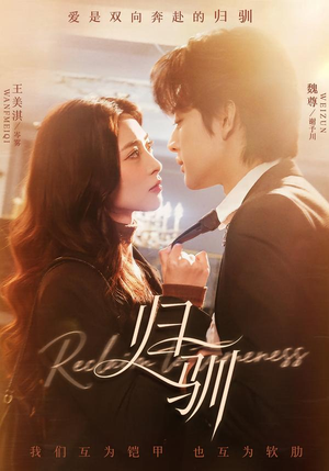 归驯（82集）真的好看吗