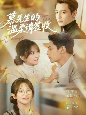 慕先生的温柔请签收（90集）全剧免费观看