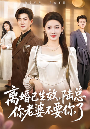 离婚已生效，陆总你老婆不要你了（61集）热门短剧排行榜