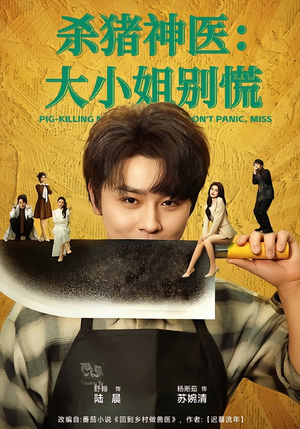 杀猪神医，大小姐别慌（80集）热播短剧推荐