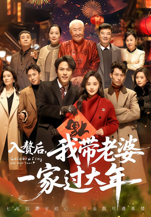 入赘后，我带老婆一家过大年（60集）精彩短剧推荐