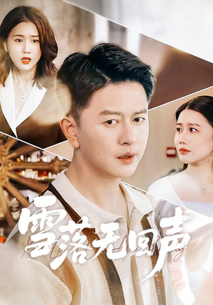 雪落无回声（60集）直接追到结尾