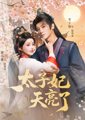 太子妃天亮了（80集）甜宠短剧推荐