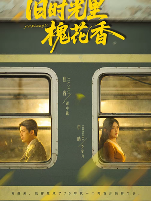 旧时光里槐花香（70集）热门短剧大全