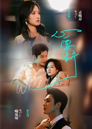 心要野(62集) 心要野(62集)全集免费