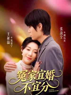 冤家宜婚不宜分（80集）短剧每日分享