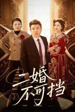 二婚不可挡（36集）短剧全集更精彩