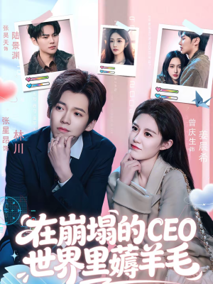 在崩塌的CEO世界里薅羊毛（70集）在哪里可以看