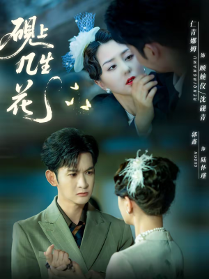 砚上几生花（62集）最火的短剧