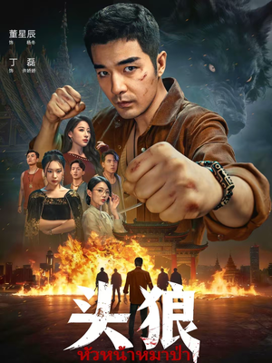 头狼（77集）爆款短剧追不停