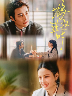 鹤归瑾时（81集）热播短剧排行榜