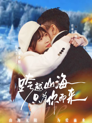 跨越山海只为你而来（30集）完整版免费观看