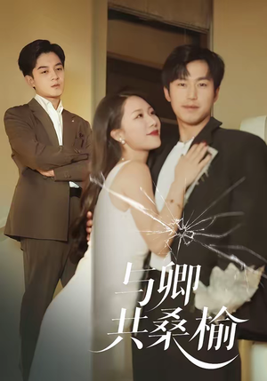 与卿共桑榆（63集）精彩热门短剧