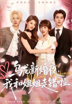 乌龙新婚夜，我和姐姐走错啦（59集）火爆热门短剧