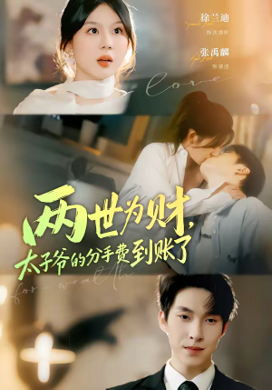 两世为财，太子爷的分手费到账了（61集）第二季