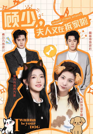 顾少,夫人又在拆家啦(78集) 顾少,夫人又在拆家啦(78集)全集免费观看