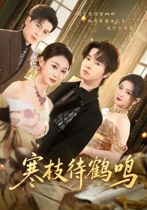 寒枝待鹤鸣（70集）最火爆短剧