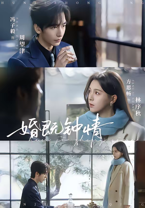 婚既钟情（83集）短剧小说在线看