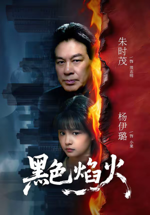 黑色焰火（41集）免费短剧看全集