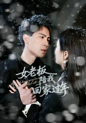 女老板陪我回家过年（40集）火爆短剧来袭