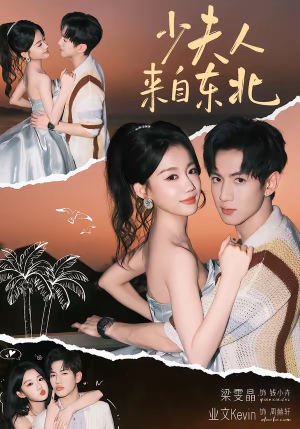 少夫人来自东北(80集) 少夫人来自东北(80集)全集一网打尽