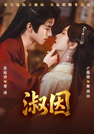 淑因（65集）精彩短剧随心推