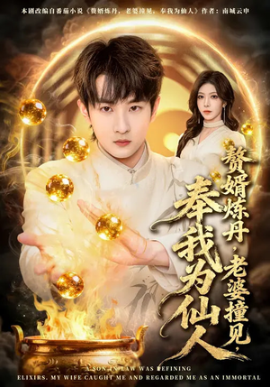 赘婿炼丹，老婆撞见，奉我为仙人（59集）完整版免费观看